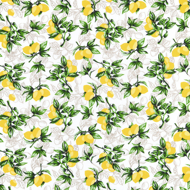  Tissu Toile Hérault 140cm 110g Citronnade