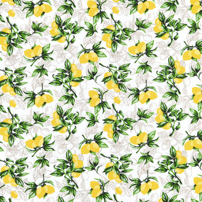  Tissu Toile Hérault 140cm 110g Citronnade