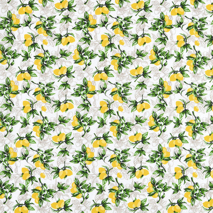  Tissu Toile Hérault 140cm 110g Citronnade